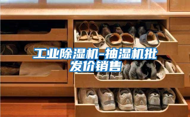 工业除湿机-抽湿机批发价销售