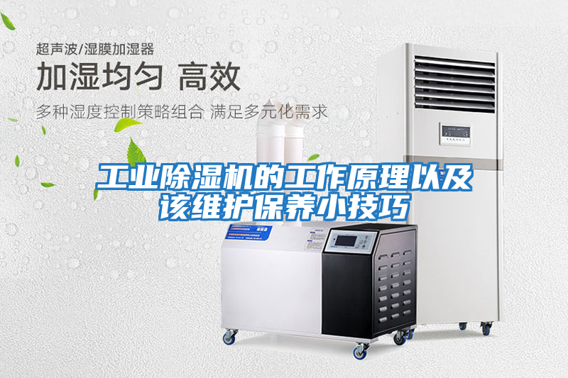 工业除湿机的工作原理以及该维护保养小技巧