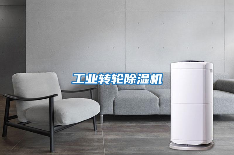 工业转轮除湿机