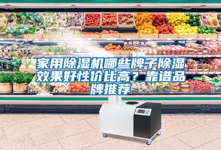 家用除湿机哪些牌子除湿效果好性价比高？靠谱品牌推荐