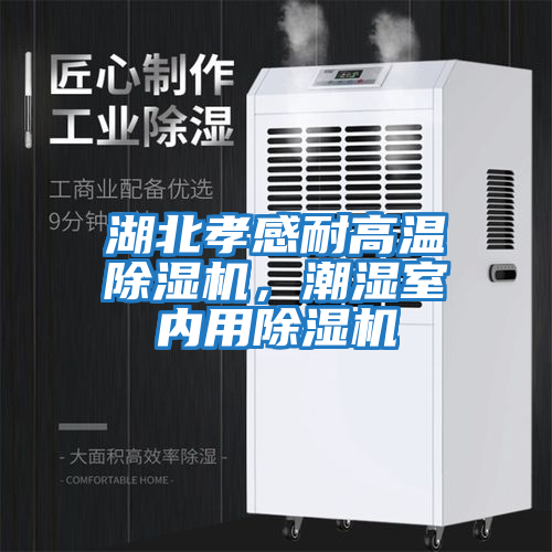 湖北孝感耐高温除湿机，潮湿室内用除湿机