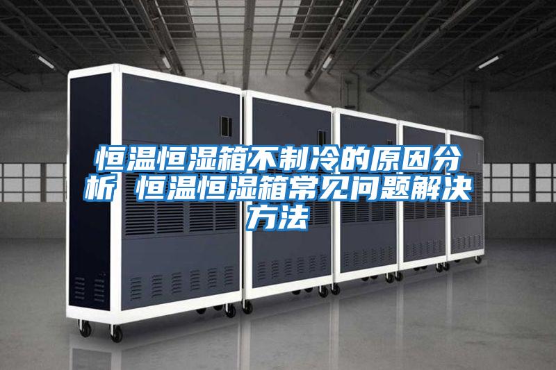 恒温恒湿箱不制冷的原因分析 恒温恒湿箱常见问题解决方法