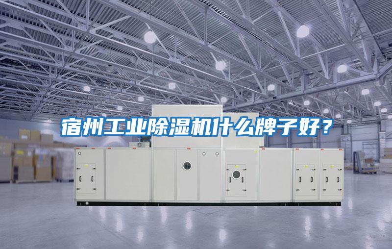 宿州工业除湿机什么牌子好？