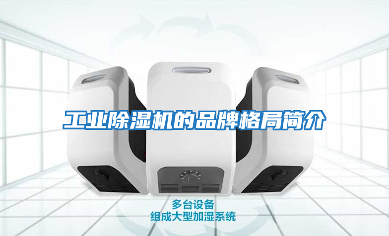 工业除湿机的品牌格局简介