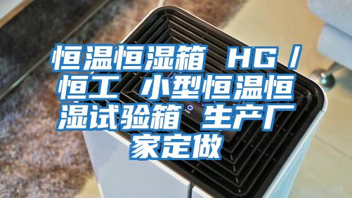 恒温恒湿箱 HG／恒工 小型恒温恒湿试验箱 生产厂家定做