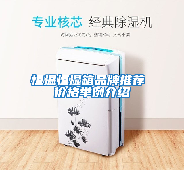 恒温恒湿箱品牌推荐 价格举例介绍