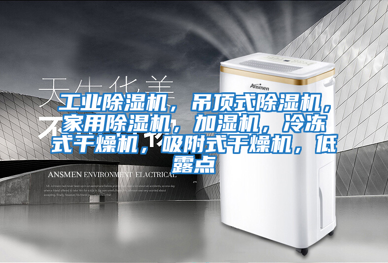 工业除湿机，吊顶式除湿机，家用除湿机，加湿机，冷冻式干燥机，吸附式干燥机，低露点