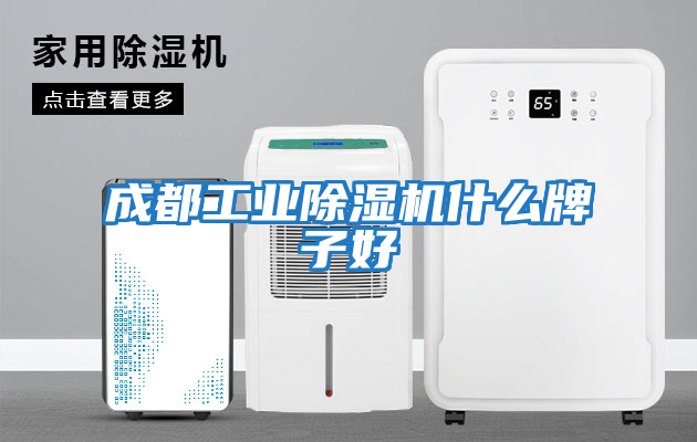 成都工业除湿机什么牌子好