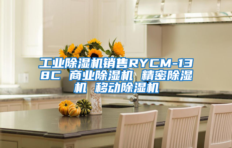 工业除湿机销售RYCM-138C 商业除湿机 精密除湿机 移动除湿机