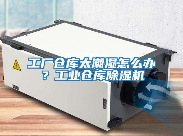 工厂仓库太潮湿怎么办？工业仓库除湿机