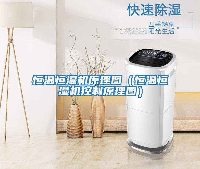 恒温恒湿机原理图（恒温恒湿机控制原理图）