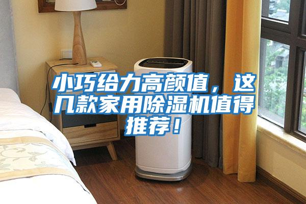 小巧给力高颜值，这几款家用除湿机值得推荐！