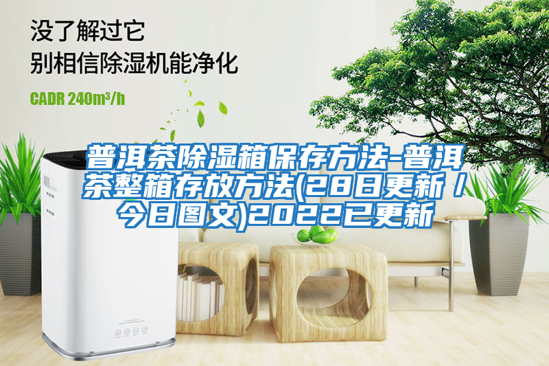 普洱茶除湿箱保存方法-普洱茶整箱存放方法(28日更新／今日图文)2022已更新