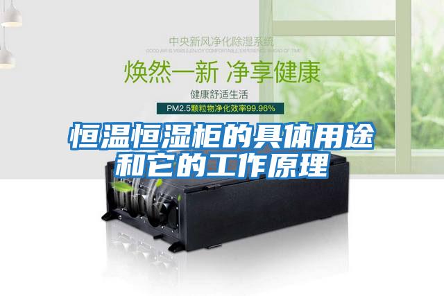 恒温恒湿柜的具体用途和它的工作原理