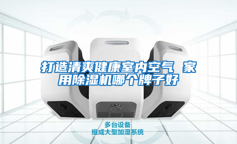打造清爽健康室内空气 家用除湿机哪个牌子好