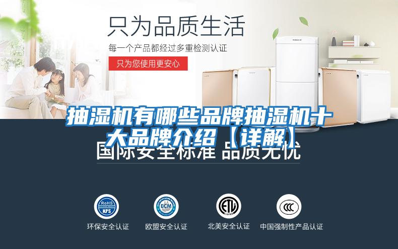 抽湿机有哪些品牌抽湿机十大品牌介绍【详解】