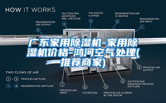 广东家用除湿机-家用除湿机价格-鸿河空气处理(推荐商家)