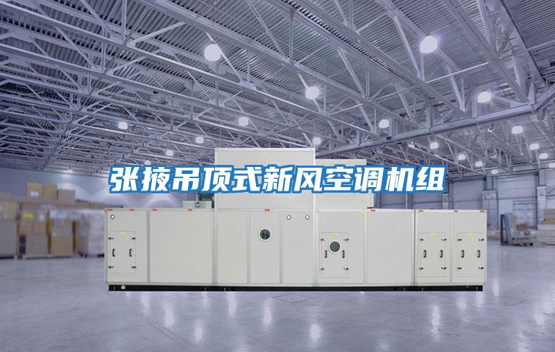 张掖吊顶式新风空调机组