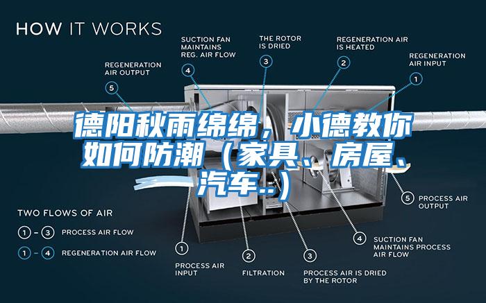 德阳秋雨绵绵，小德教你如何防潮（家具、房屋、汽车..）