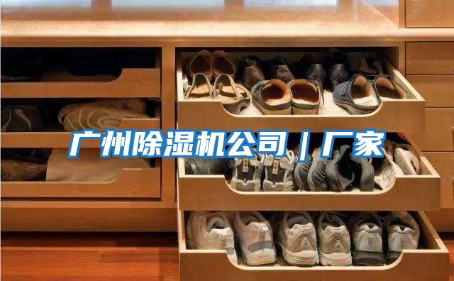 广州除湿机公司｜厂家
