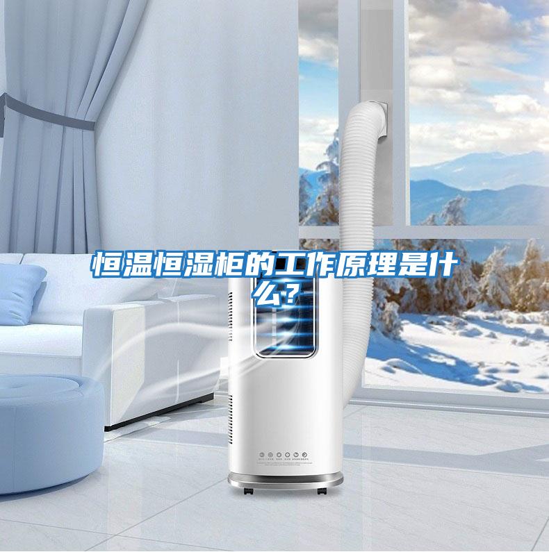 恒温恒湿柜的工作原理是什么？