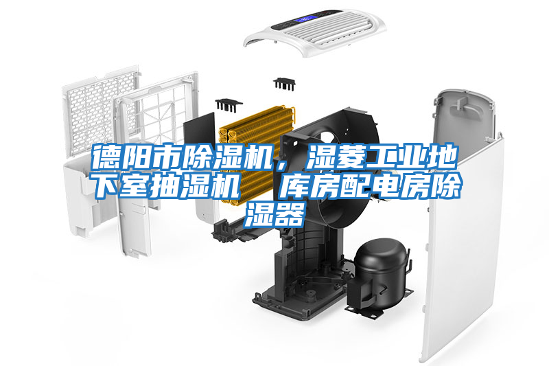 德阳市除湿机，湿菱工业地下室抽湿机  库房配电房除湿器