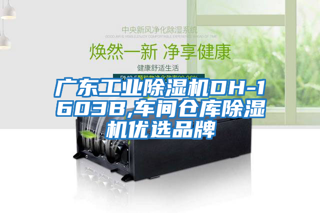 广东工业除湿机DH-1603B,车间仓库除湿机优选品牌