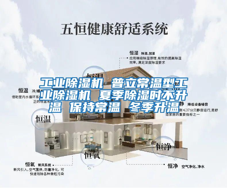 工业除湿机 普立常温型工业除湿机 夏季除湿时不升温 保持常温 冬季升温