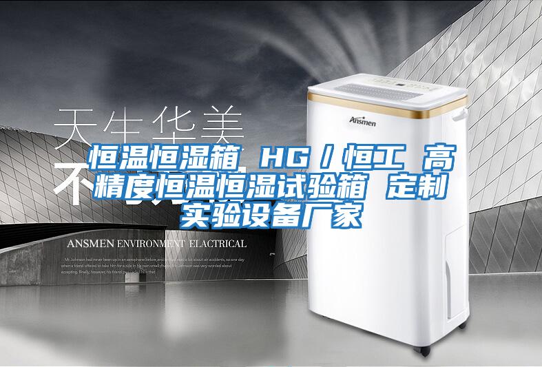 恒温恒湿箱 HG／恒工 高精度恒温恒湿试验箱 定制实验设备厂家
