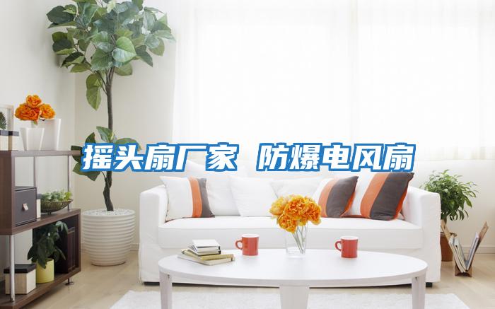 摇头扇厂家 防爆电风扇
