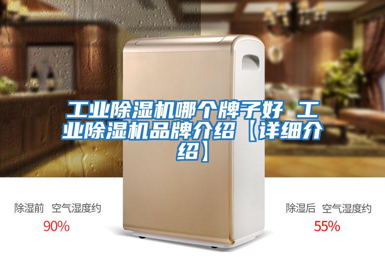 工业除湿机哪个牌子好 工业除湿机品牌介绍【详细介绍】