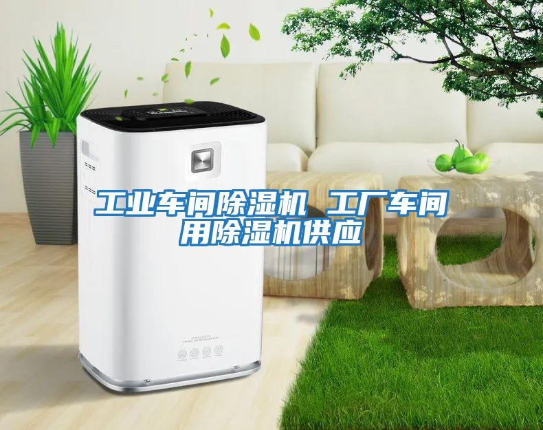 工业车间除湿机 工厂车间用除湿机供应