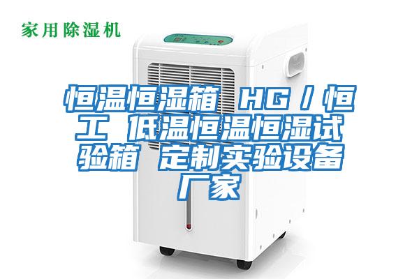 恒温恒湿箱 HG／恒工 低温恒温恒湿试验箱 定制实验设备厂家