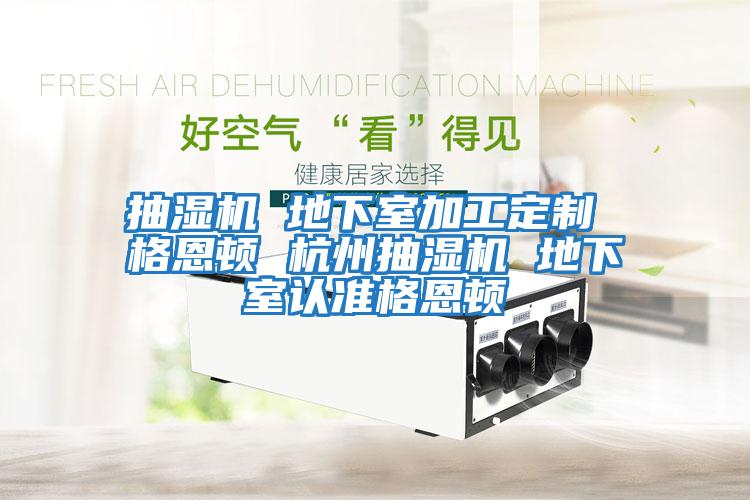 抽湿机 地下室加工定制 格恩顿 杭州抽湿机 地下室认准格恩顿