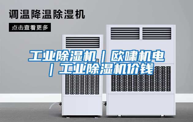 工业除湿机｜欧啸机电｜工业除湿机价钱