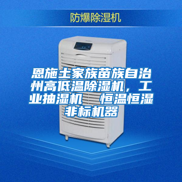 恩施土家族苗族自治州高低温除湿机，工业抽湿机  恒温恒湿非标机器