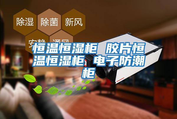 恒温恒湿柜 胶片恒温恒湿柜 电子防潮柜