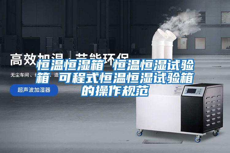 恒温恒湿箱 恒温恒湿试验箱 可程式恒温恒湿试验箱的操作规范