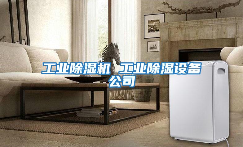 工业除湿机 工业除湿设备公司