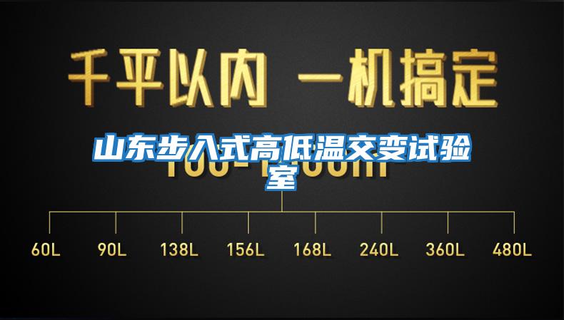 山东步入式高低温交变试验室