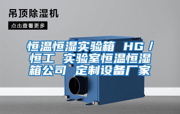 恒温恒湿实验箱 HG／恒工 实验室恒温恒湿箱公司 定制设备厂家