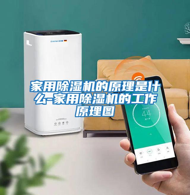 家用除湿机的原理是什么-家用除湿机的工作原理图