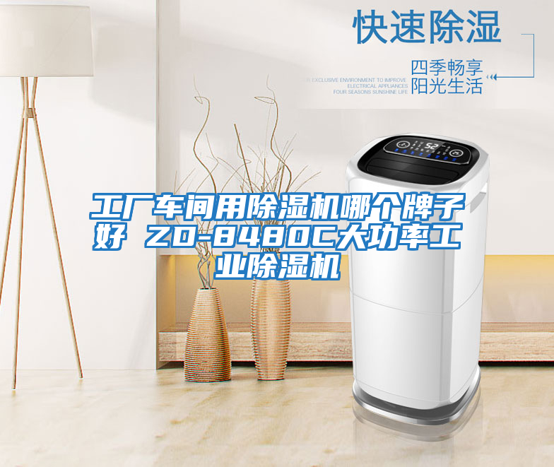 工厂车间用除湿机哪个牌子好 ZD-8480C大功率工业除湿机