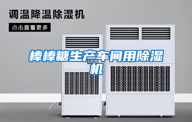 棒棒糖生产车间用除湿机