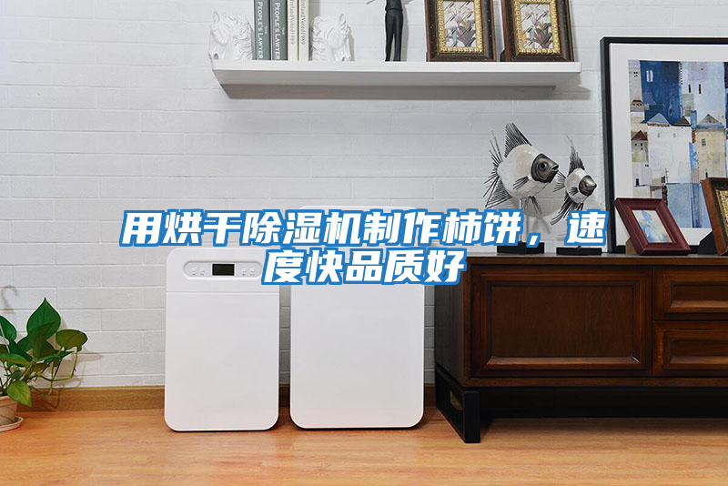用烘干除湿机制作柿饼，速度快品质好