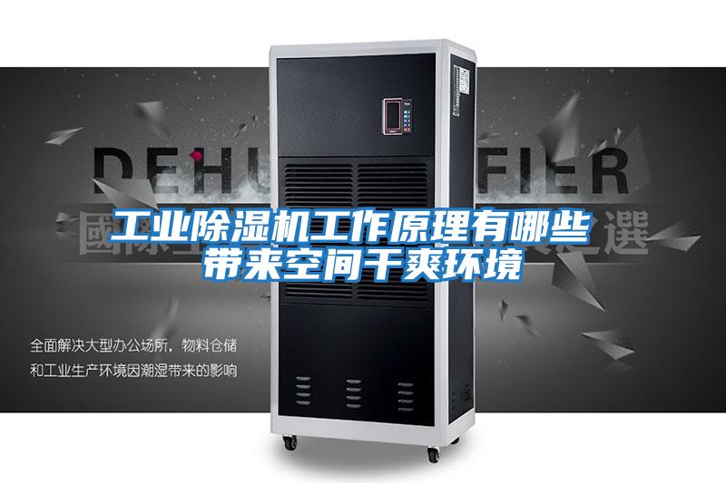 工业除湿机工作原理有哪些 带来空间干爽环境