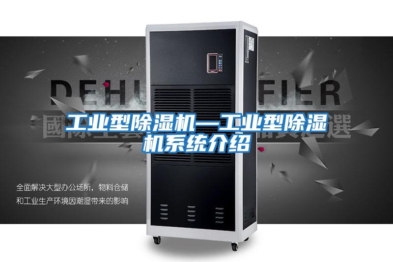 工业型除湿机—工业型除湿机系统介绍