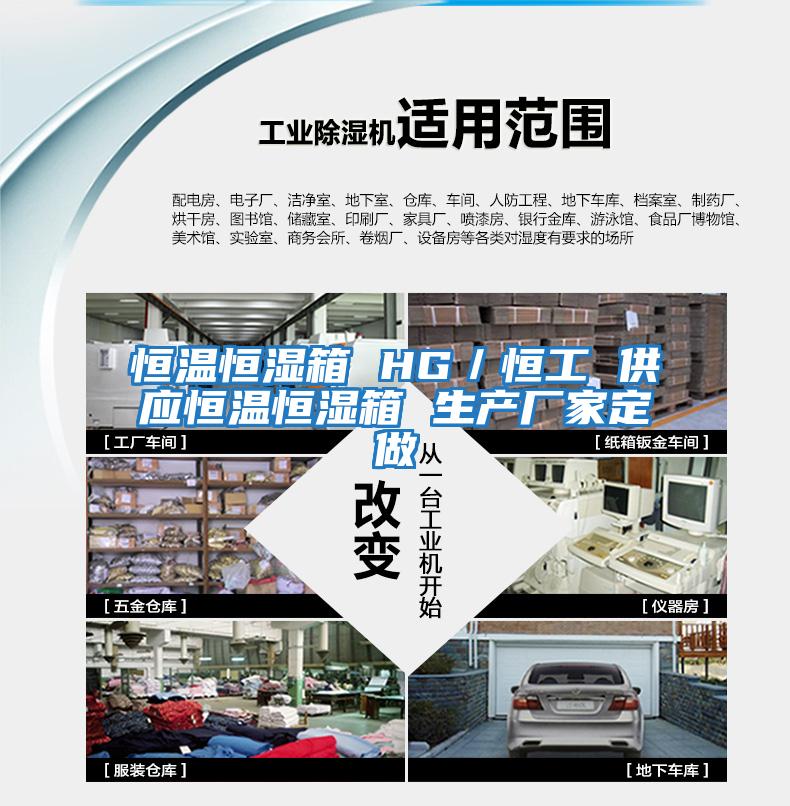 恒温恒湿箱 HG／恒工 供应恒温恒湿箱 生产厂家定做