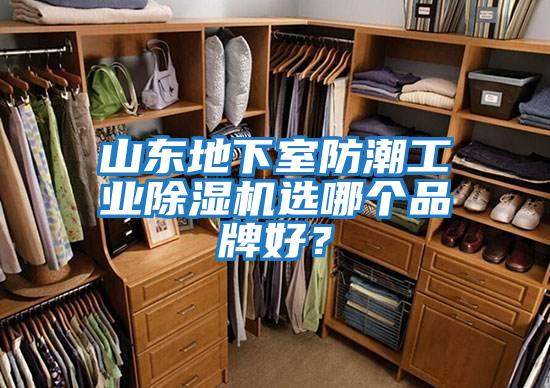 山东地下室防潮工业除湿机选哪个品牌好？