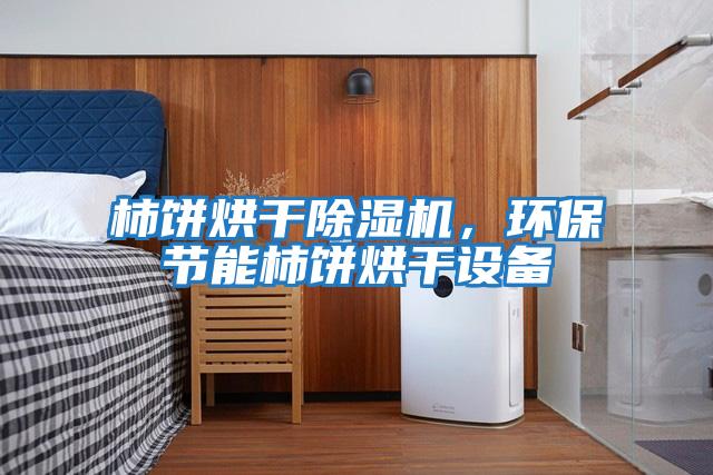 柿饼烘干除湿机，环保节能柿饼烘干设备